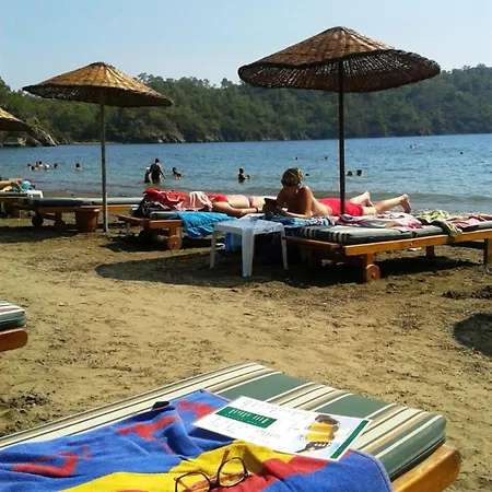 Отель Club Turkuaz Garden Adult Only