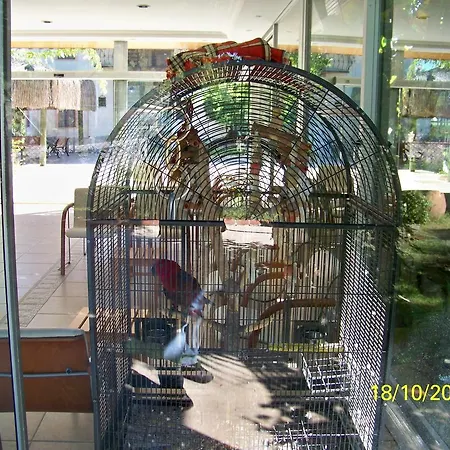 Club Turkuaz Garden Adult Only 3* 페티예