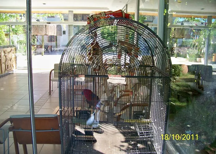 Club Turkuaz Garden Adult Only 3* 费特希耶