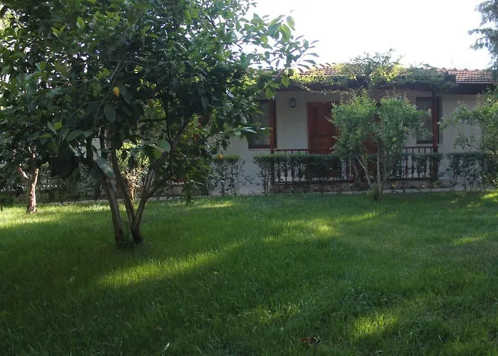 Club Turkuaz Garden Adult Only Hotel